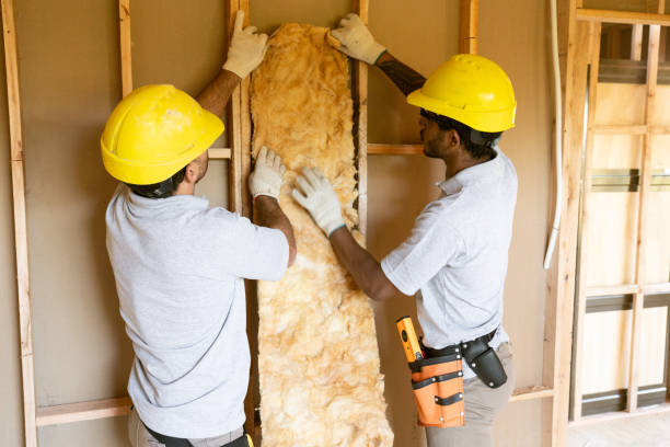 Best Cellulose Insulation  in Stonebridge, NJ